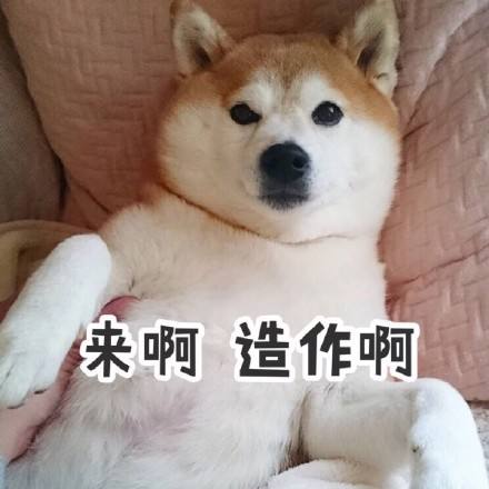 星座一般是看农历还是看阳历,星座究竟是看农历还是阳历