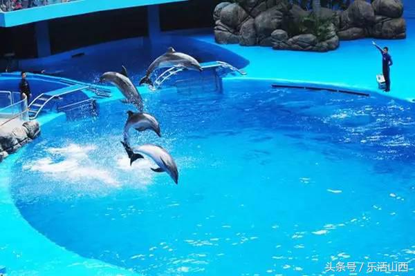 厉害了我的太原,厉害了我的太原机场