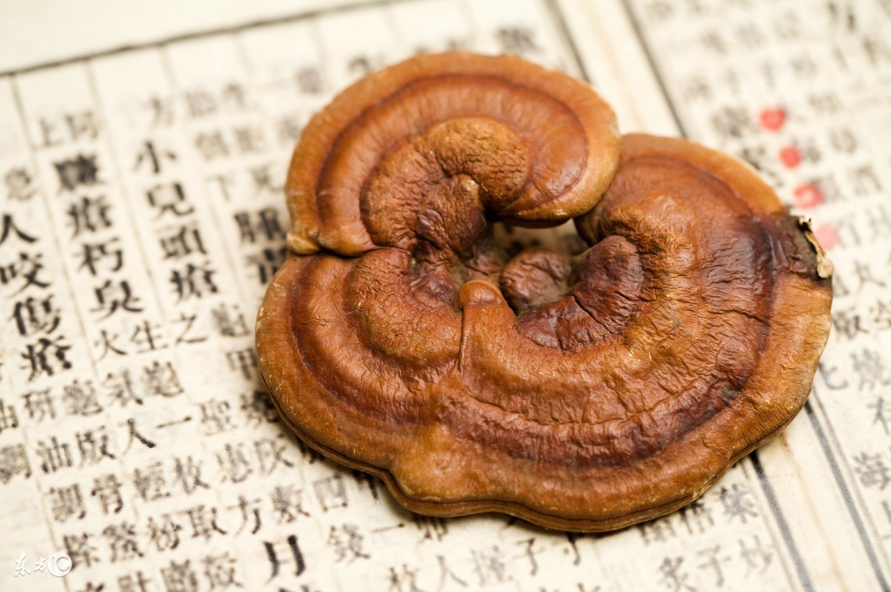 灵芝孢子粉和灵芝哪个抗癌效果好,除了灵芝孢子粉还有什么抗癌药物