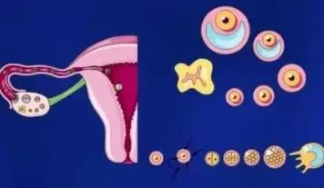 一抽一抽的疼啥情况,胚胎着床会有一抽一抽刺痛感