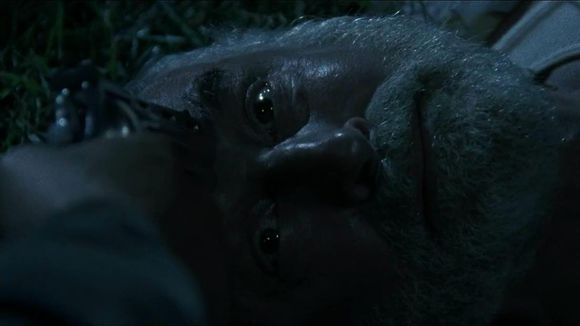 行尸走肉生存本能全流程,行尸走肉全组人员图片