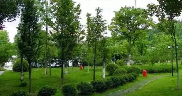 宜昌的四大美女之一是谁,四大美女你最喜欢哪个