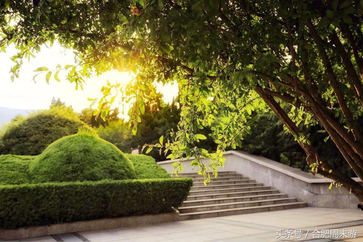 2022浜斾竴鍚堣偉鍏嶈垂鏅尯,鍚堣偉鍏嶈垂鐜╂櫙鍖哄叏鍚嶅崟