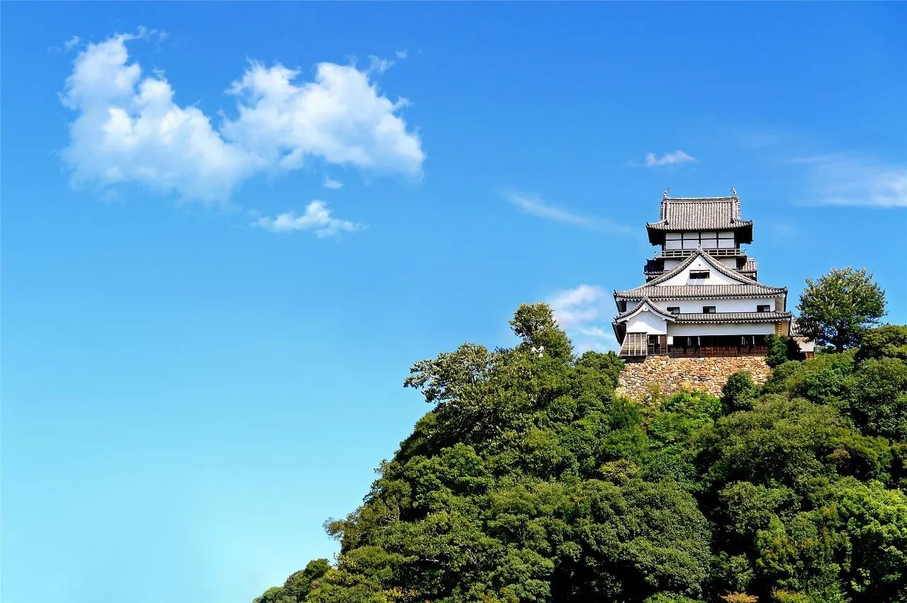 全家出游哪种旅行方式最合适,全家游怎么样游好