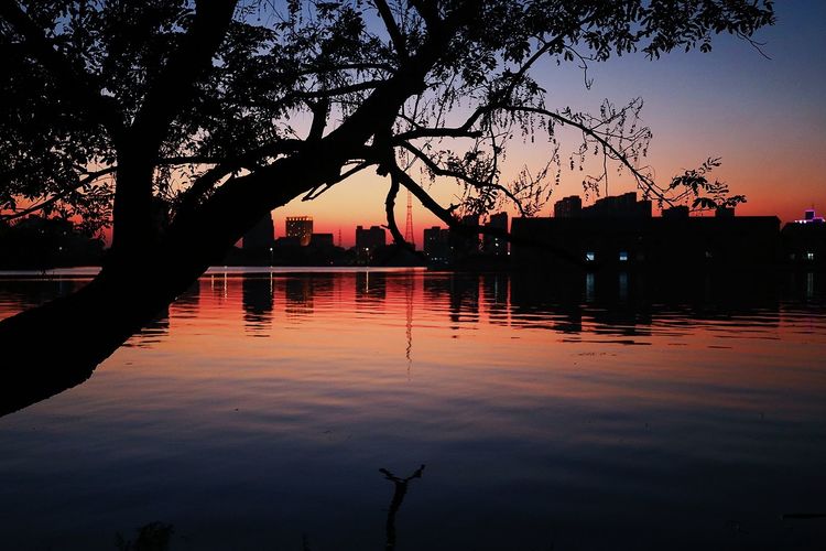 去东湖逛一圈,夏天去东湖哪个景区好玩