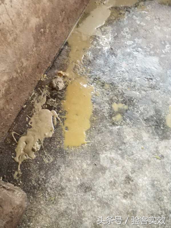 猪群腹泻严重怎么控制,仔猪病毒性腹泻最快解决方法