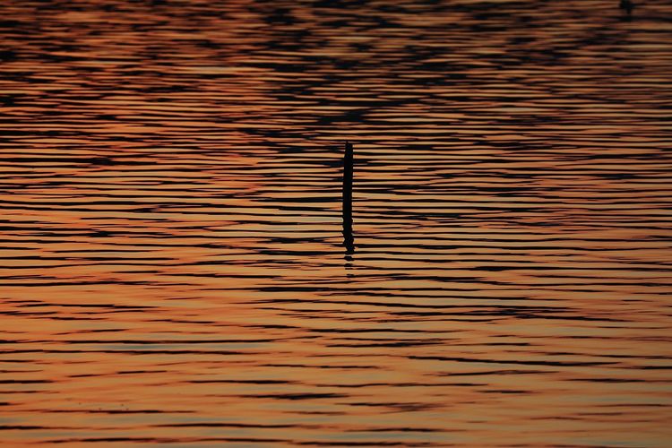 去东湖逛一圈,夏天去东湖哪个景区好玩