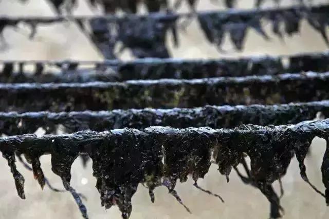 菜品不好吃能退吗,菜品不合口味怎样解释