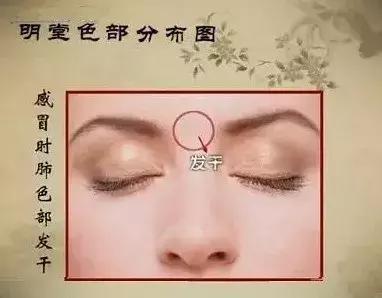 中医望诊鼻子发青,受凉鼻根发青是什么原因