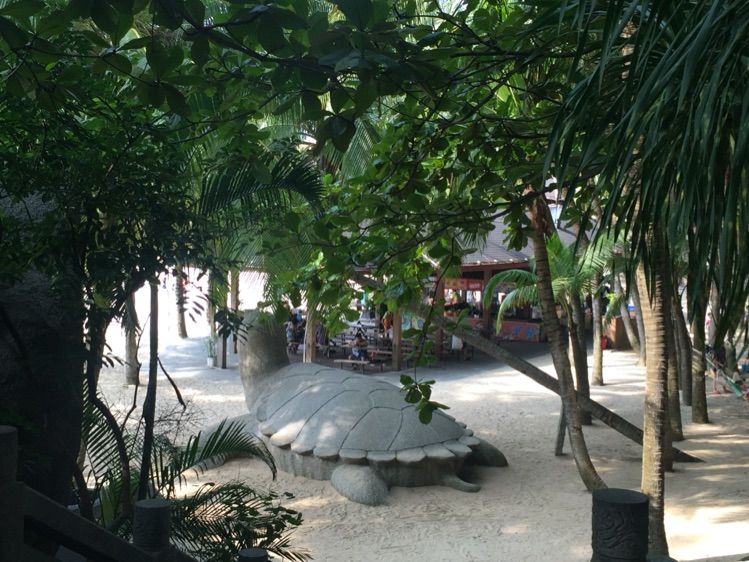 亲子三亚游,什么标题都不如这句话!