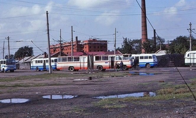 消失13年,消失的13年