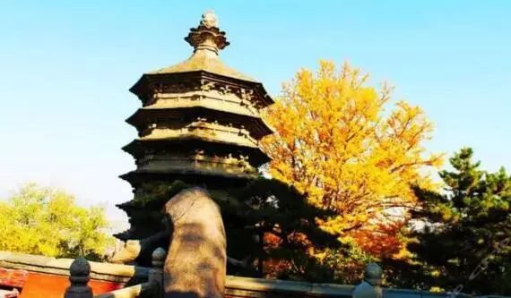 京城赏秋打卡胜地,京城赏荷最佳路线图