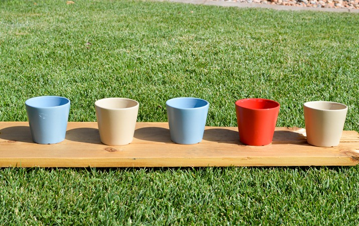 自己动手制作花园植物墙,如何自制室内植物墙