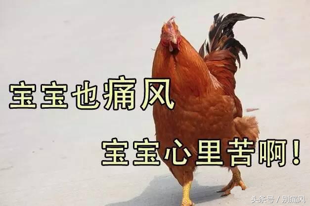 降尿酸的新药普瑞凯希,普瑞凯西痛风药