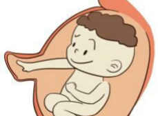 怀孕多久孕妇可以感觉到胎动,怀孕胎动位置示意图