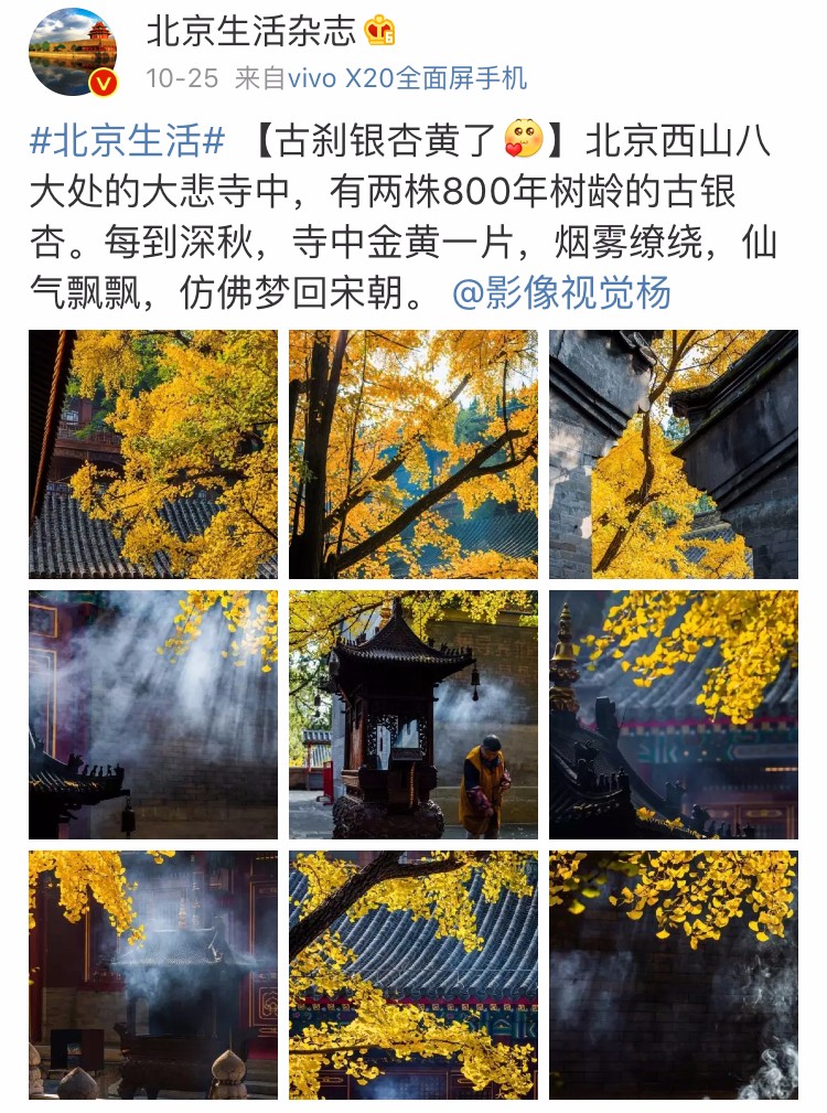 京城赏秋打卡胜地,京城赏荷最佳路线图