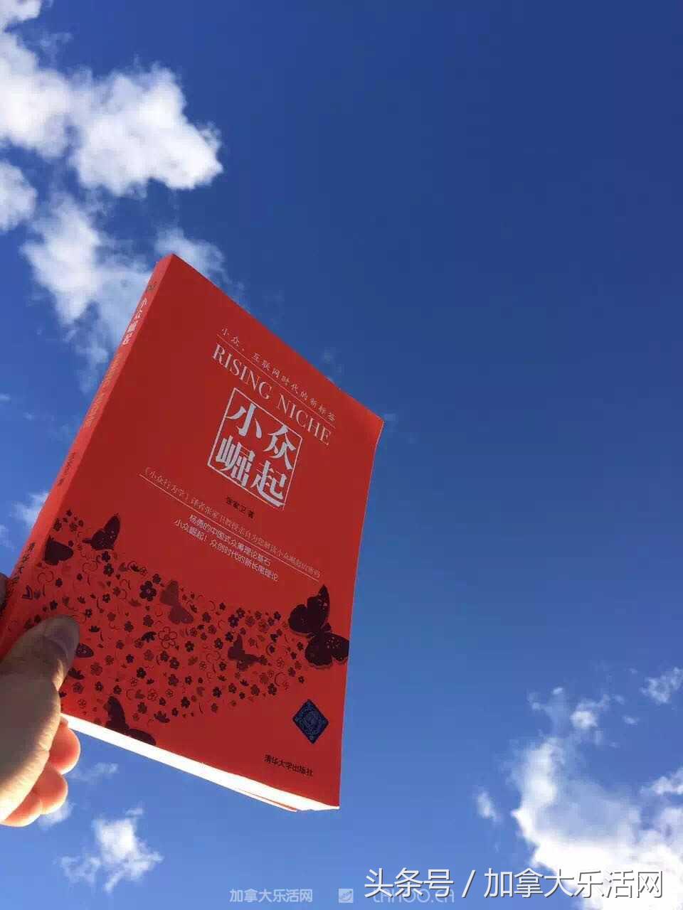 张家卫硅谷百日散记（二十二）器官移植和干细胞移不再昂贵