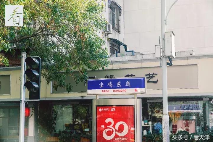 天津宝鸡道花鸟鱼虫市场鹦鹉全吗,天津市宝鸡道花鸟鱼虫市场文玩