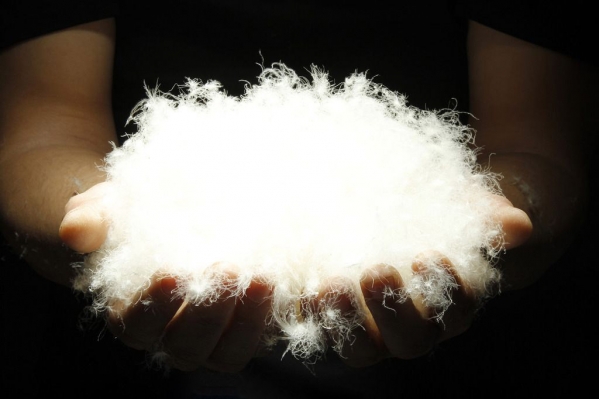 羽绒服鹅绒白鸭绒灰鸭绒哪个好,羽绒服灰鸭绒好还是白鸭绒好