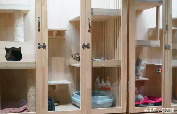 天津宝鸡道花鸟鱼虫市场地铁,宝鸡道花鸟鱼虫市场天津