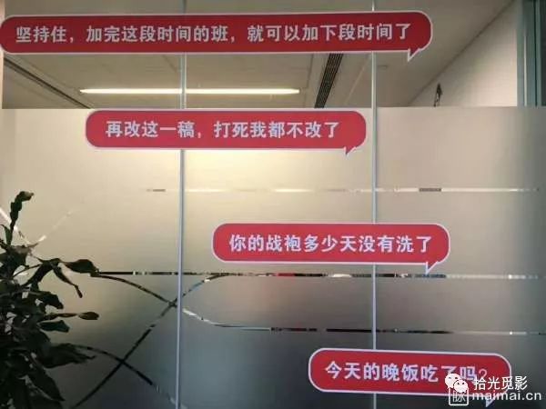 双十一电商大战视频,猫狗狮双11混战视频