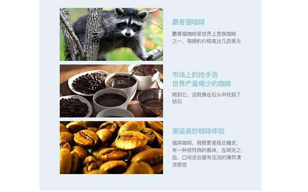 从猫屎咖啡解构资本+权威+知识的威力