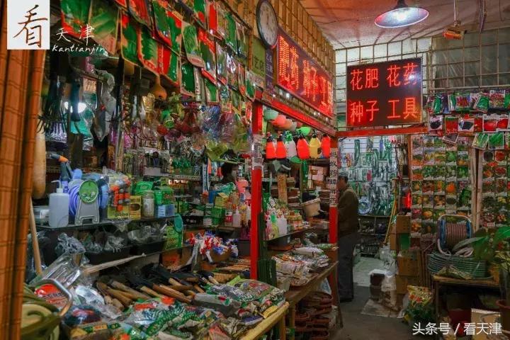 天津宝鸡道花鸟鱼虫市场鹦鹉全吗,天津市宝鸡道花鸟鱼虫市场文玩