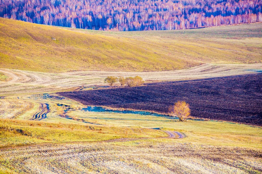 晚秋的草原美景,呼伦贝尔草原晚秋美景