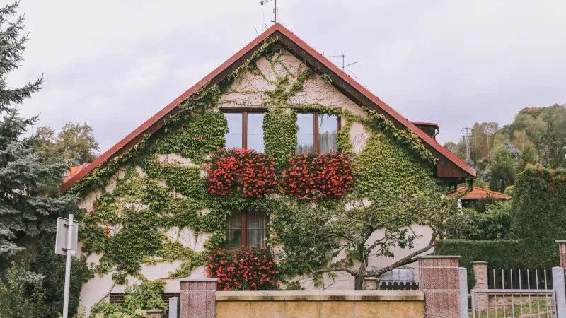 去欧洲旅游必须先去亚洲么,欧洲之行捷克