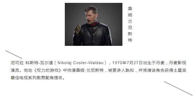 丹麦明星,丹麦足球明星