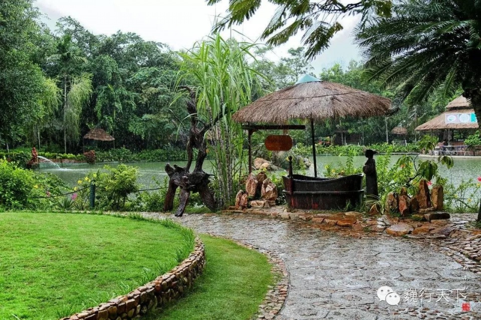 越南芽庄泥浆浴在哪个岛上,游越南芽庄享受泥浆浴