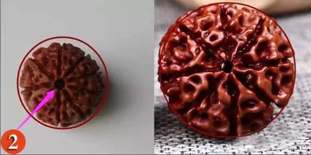 金刚菩提怎么分辨是不是落地红,金刚菩提吊坠识别真假