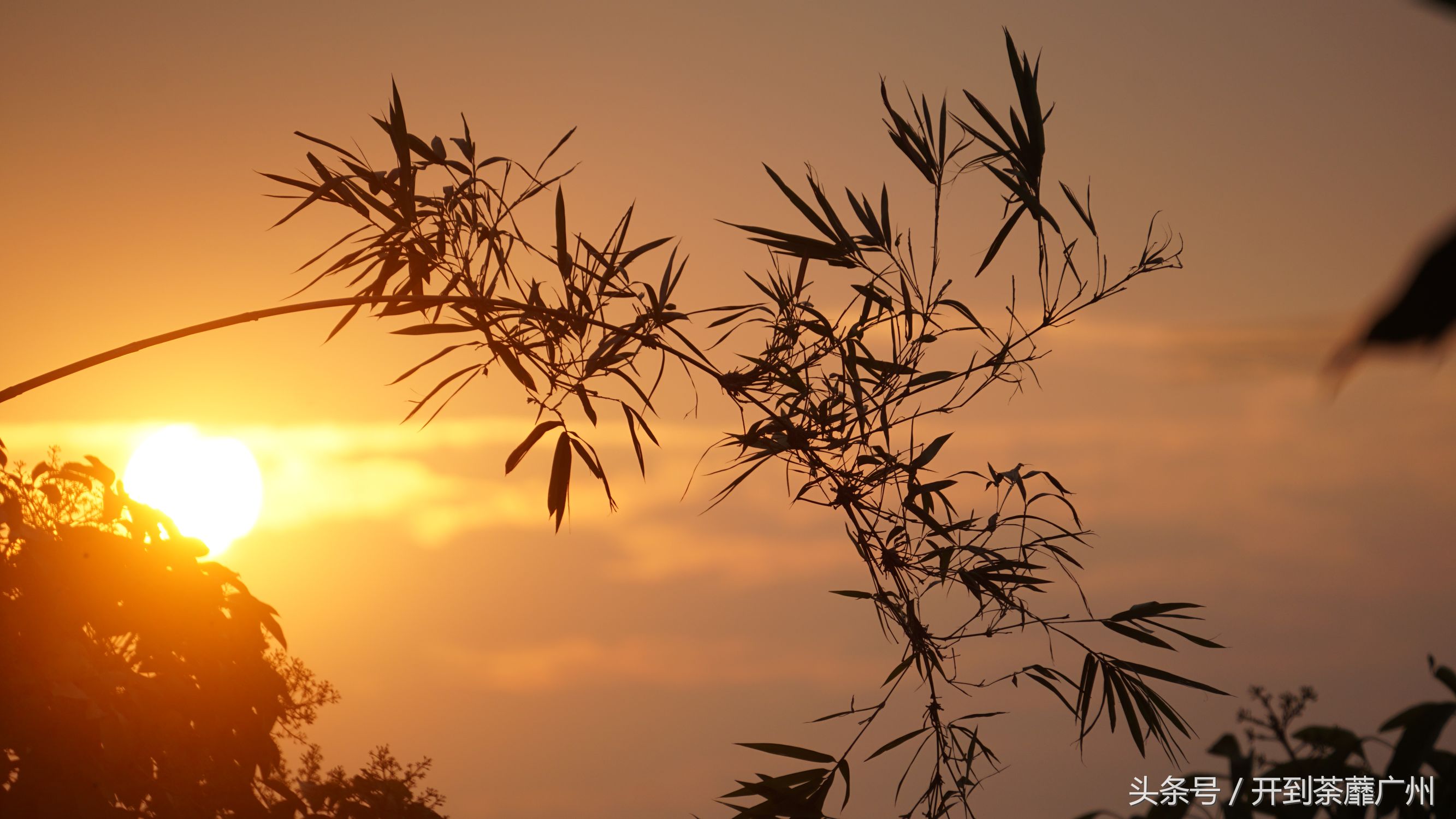 官洲岛：微凉初秋夕阳无限好天色已黄昏