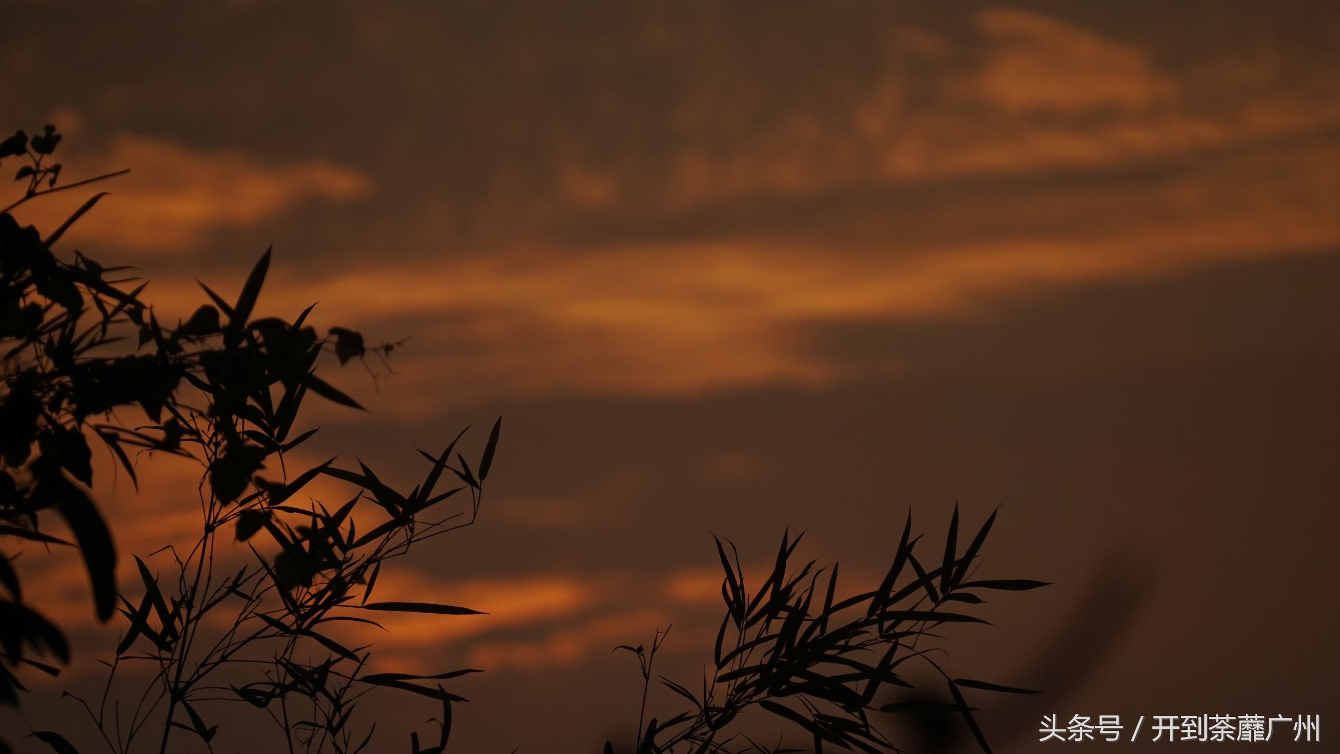 官洲岛：微凉初秋夕阳无限好天色已黄昏