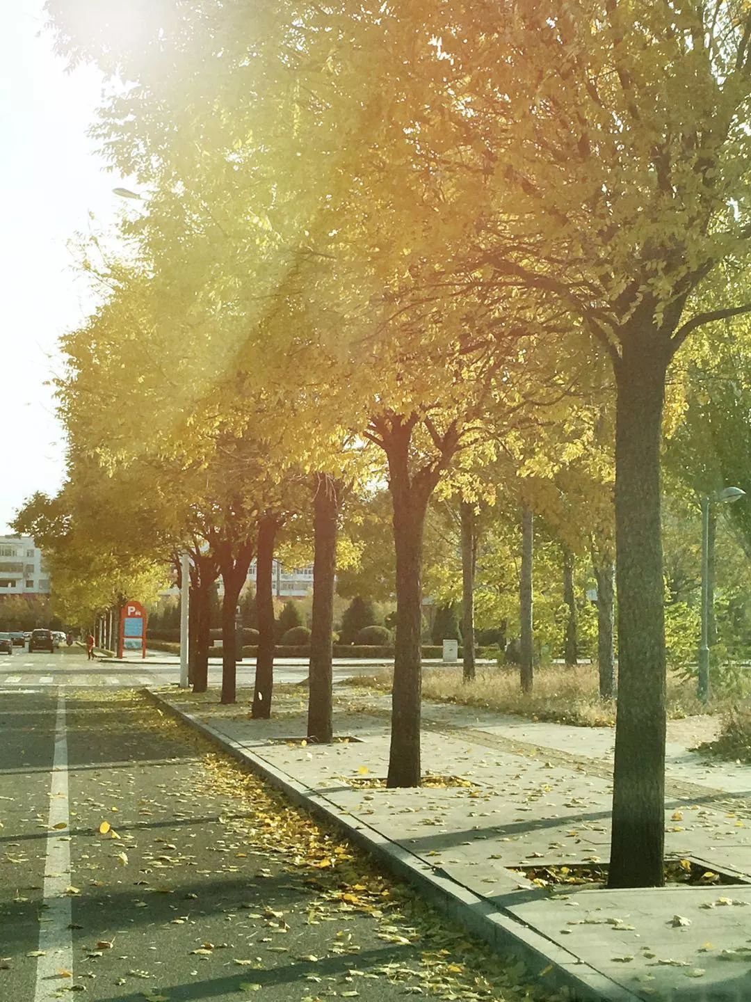 手机摄影作品赏析,手机摄影作品也可以美不胜收