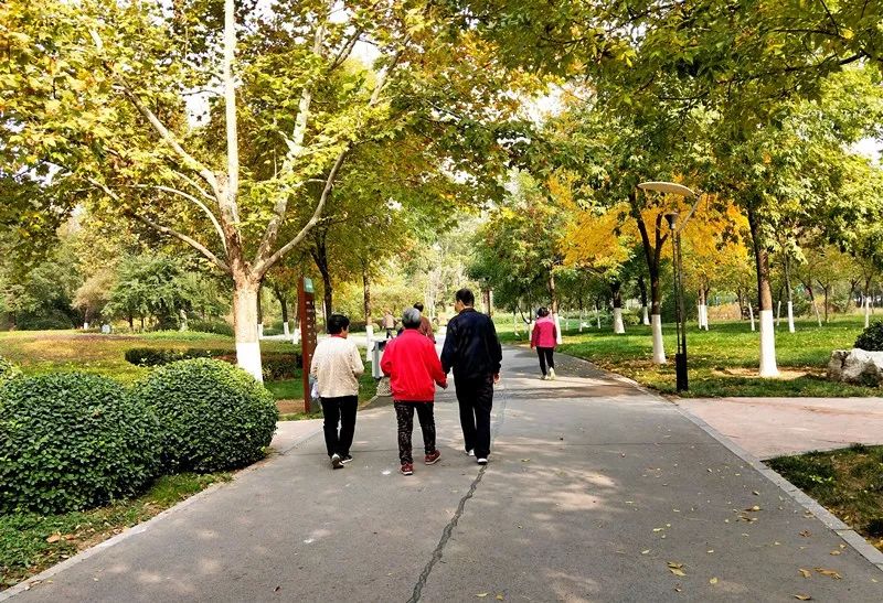 手机摄影作品赏析,手机摄影作品也可以美不胜收