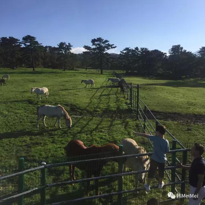 Trip丨如何在济州岛练就“济州瘫”（下部）