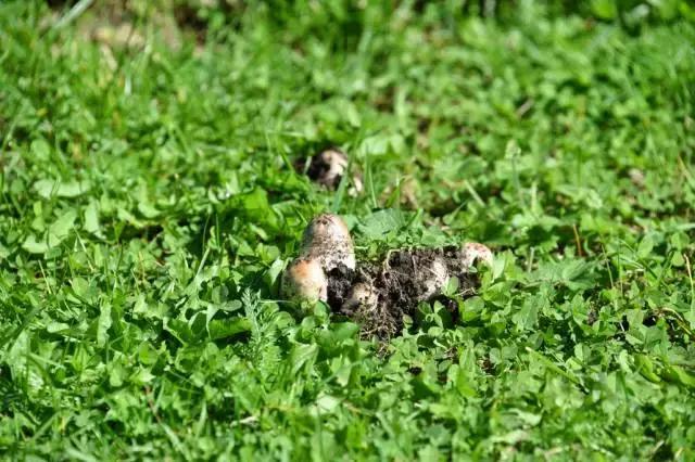 坐火车穿越俄罗斯西伯利亚,欧洲火车途经小镇