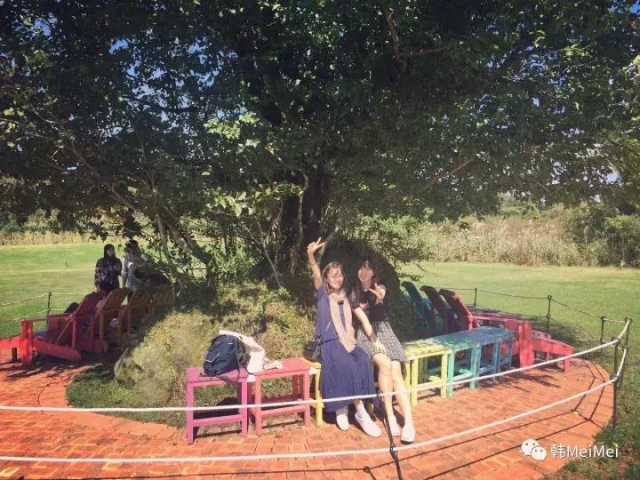 Trip丨如何在济州岛练就“济州瘫”（下部）