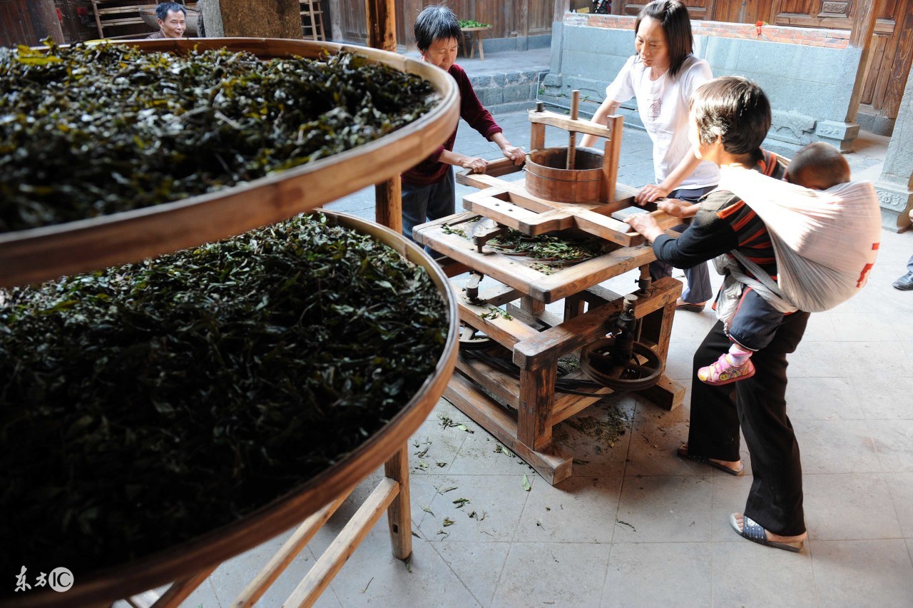 十大名茶金骏眉铁观音红茶龙井,四大名茶铁观音和红茶
