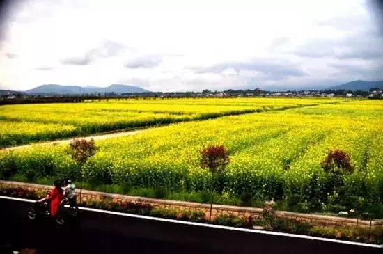 榆林十二县最美的乡镇,榆林最美的乡村排名