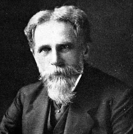 食物卡路里表大全减肥,减肥各种食物卡路里表