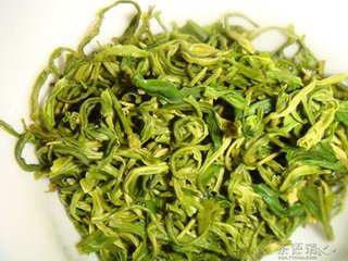 中国的10种名茶崂山绿茶,崂山绿茶筛选出来的大叶茶