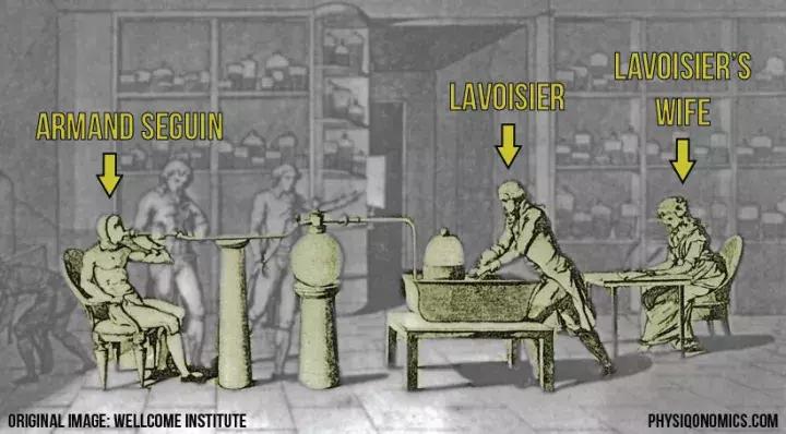 食物热量表减肥必备表,食物热量表减肥必备