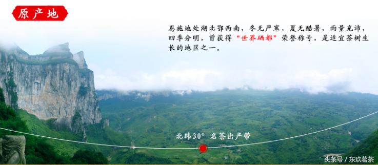 茶中珍品金骏眉,中国传统十大名茶恩施玉露