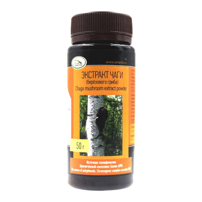 白桦茸是何方神圣？比灵芝还神奇的“森林钻石”!