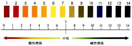 钟丽缇为生四胎有多努力,钟丽缇喝苏打水