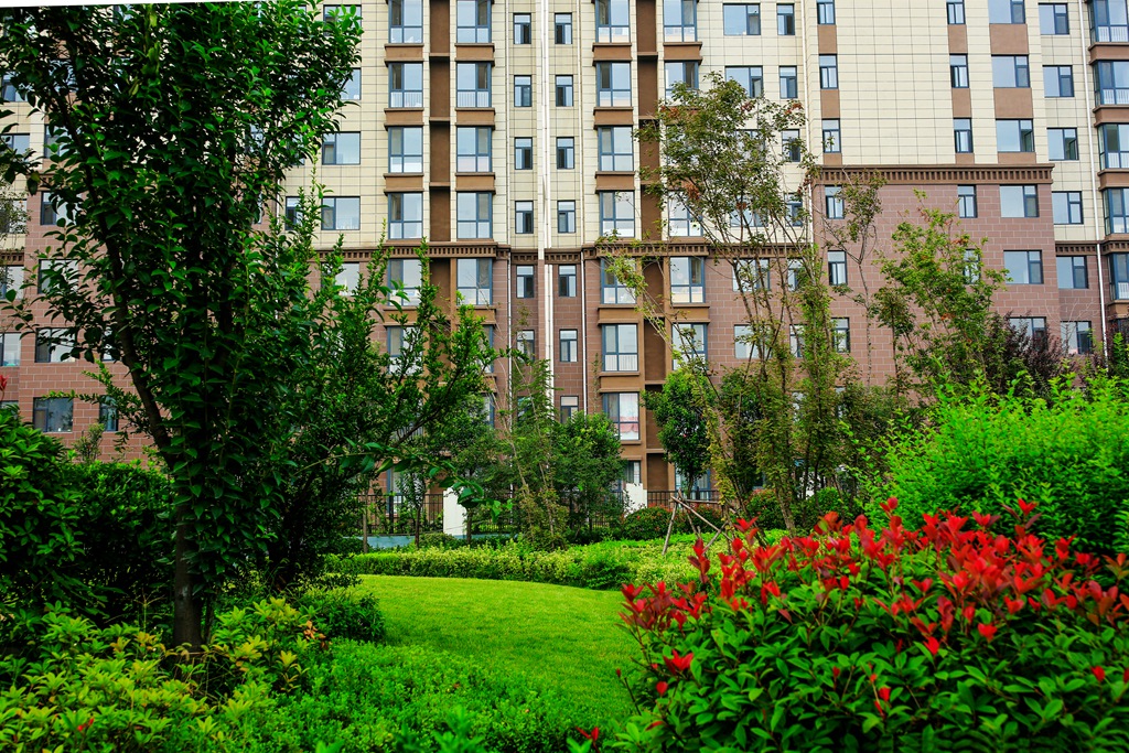 寮犺穬闈欑墿鎽勫奖,寮犺穬鐓х墖