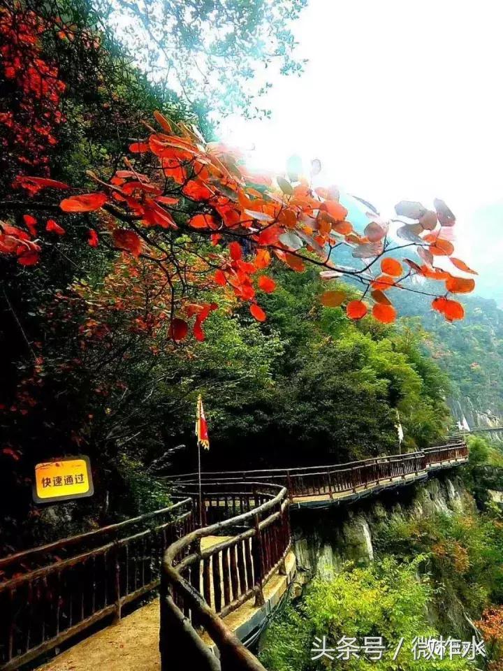 柞水县景点,柞水风景最好的村子