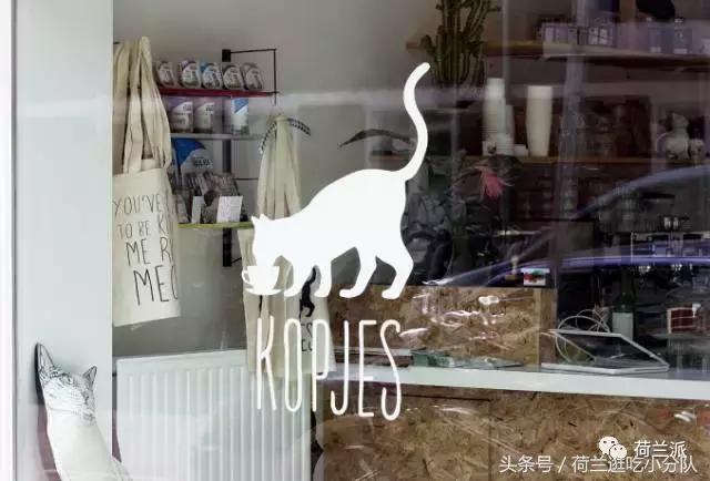 同样是撸猫，看看荷兰人和我们有什么不一样！